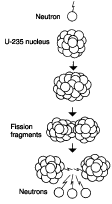 THE FISSION PROCESS
