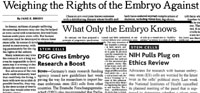 Headline collage