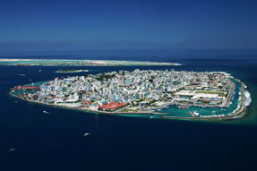 The Island of Malé The Island of Malé